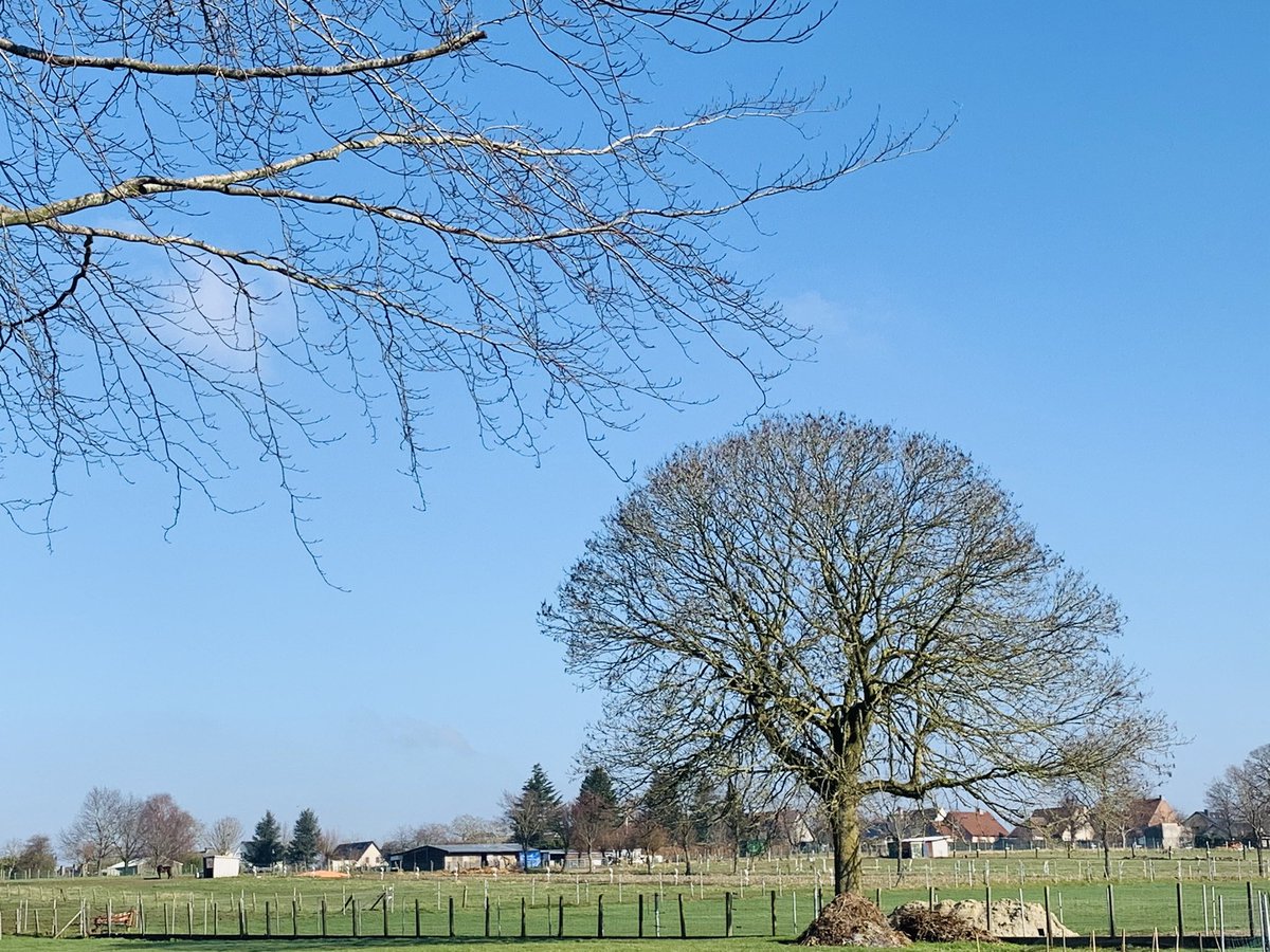 #vrtweer  <a href="/frankdeboosere/">Frank Deboosere</a>  <a href="/sabinehagedoren/">Sabine Hagedoren</a>  <a href="/meteoBram/">Bram Verbruggen</a>    Zottegem 28 feb 2021  10 u 30  zonnig 5 graden met een vochtigheid van 90% , NOwind +~ 13 km/u en een gevoelstemperatuur van 2 graden.