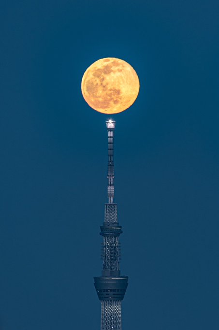 壁紙に使いやすい 絵みたいな縦写真を撮りました 壁紙に使いやすい 絵みたいな縦写真を撮りました