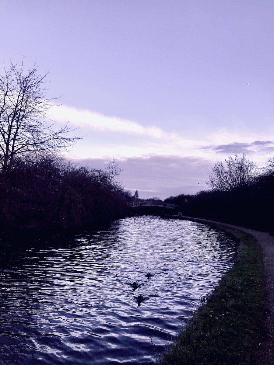 patterson77 tweet media