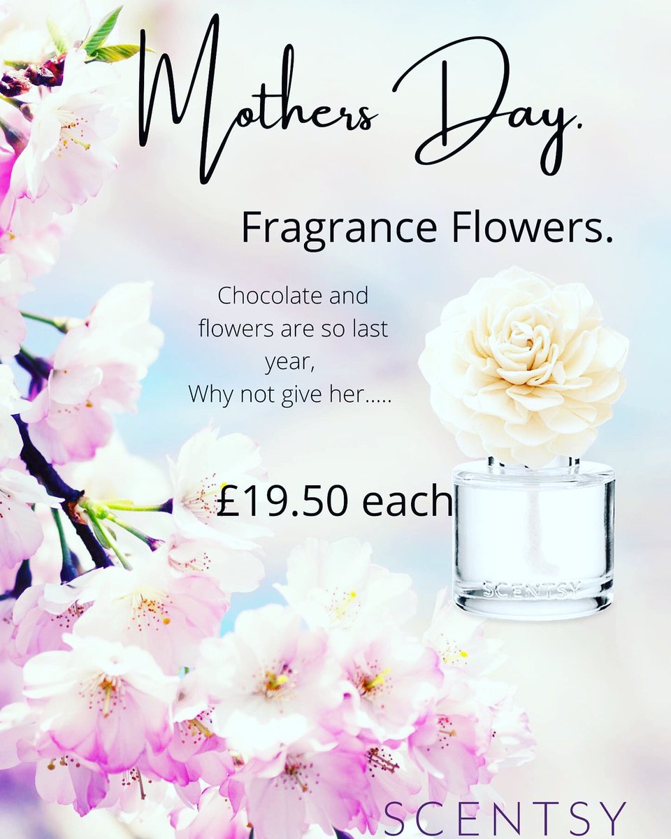 EmmaOregan15's tweet photo. Last call for Guaranteed Mother’s Day delivery 💐www.emmaoregan@scentsy.co.uk https://t.co/vm2pHixNux