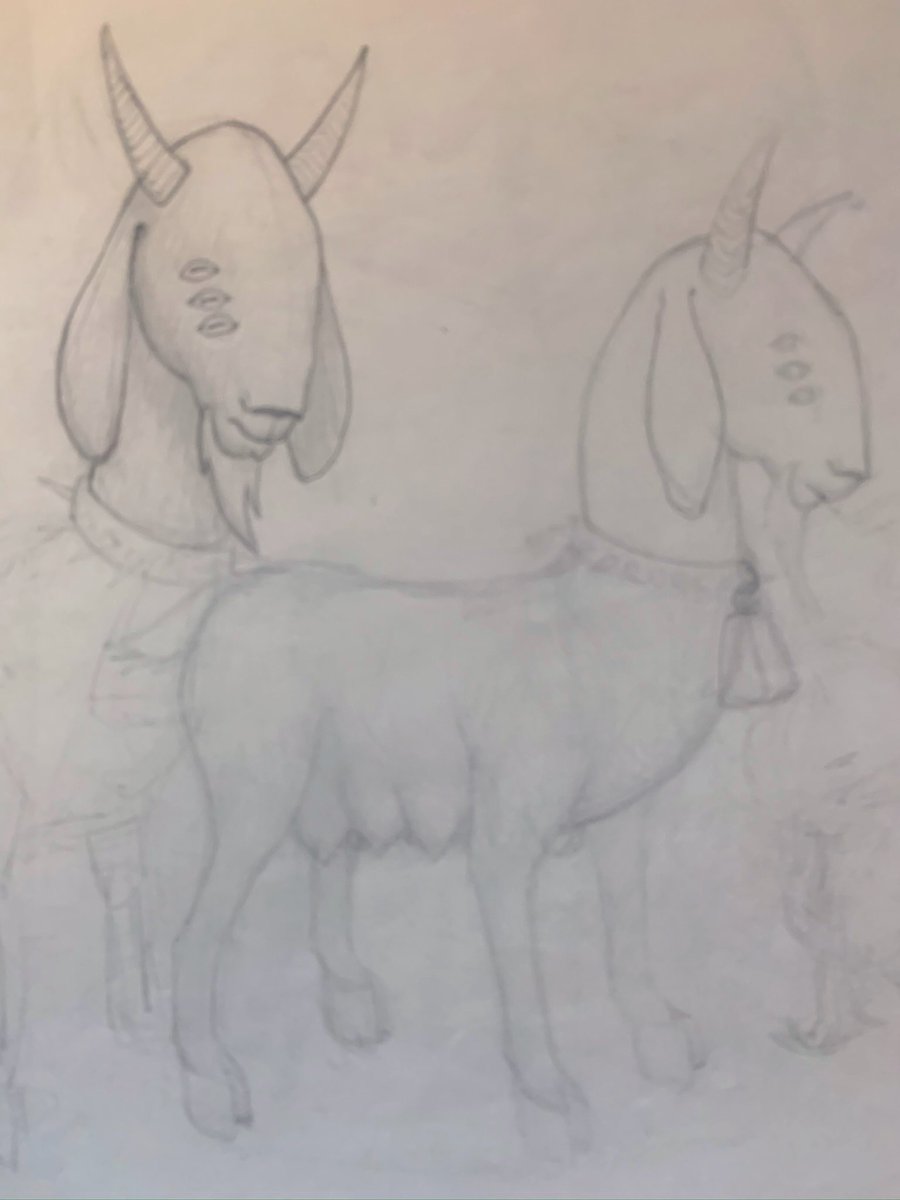 birbsonk's tweet photo. horned goat https://t.co/0OrcGQBLUK