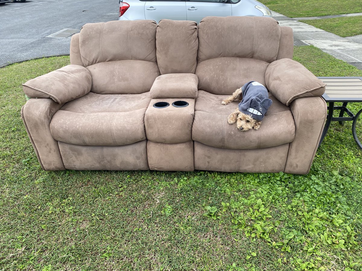 This great love-seat can be yours, you just have to get to Kadena AB, Okinawa, Japan! Totoro costumed dog not included. #HaveYouSeenAFreeCouch #pcsseason