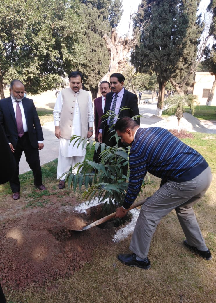 Make_Pak_Green's tweet photo. If you could just imagine the value of the single seed  you planted today after a decade you would have planted a whole forest.
Member of MPG Mr.Khalid planted many trees and plants in Rawalpindi. 🇵🇰
#MakePakistanGreen https://t.co/jsINlNnbGB