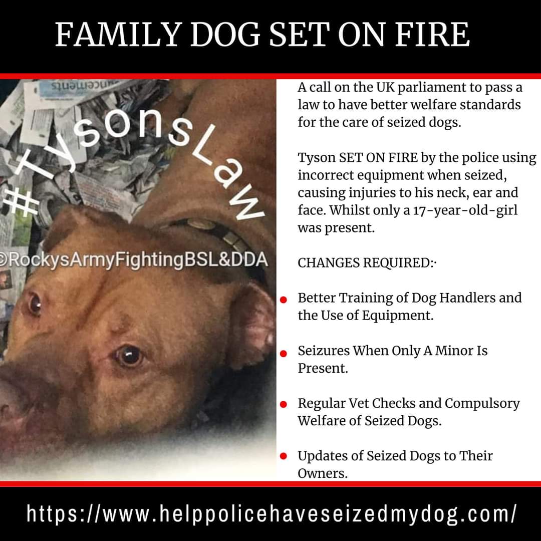 Rockys Army Fighting BSL & DDA tweet media