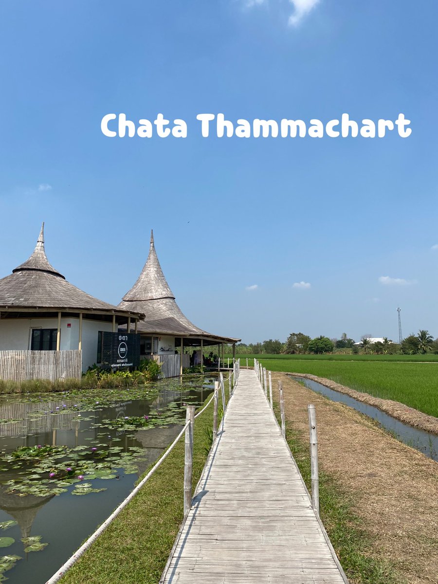Up2meP's tweet photo. ChataThammachat
คาเฟ่ย่านนครปฐม ตอนนี้ทางร้านมีทุ่งหญ้าสีชมพูโคเรียสไตล์ พลาดไม่ได้ มุมถ่ายรูปเยอะ ควงแขนกันไปเลยจ้า บอกเลยว่าปังไม่ไหวว!! #คาเฟ่ #คาเฟ่นครปฐม #cafe #cafehopping #นครปฐม #รีวิวคาเฟ่ #รีวิวคาเฟ่นครปฐม https://t.co/yLRYdKVzVS