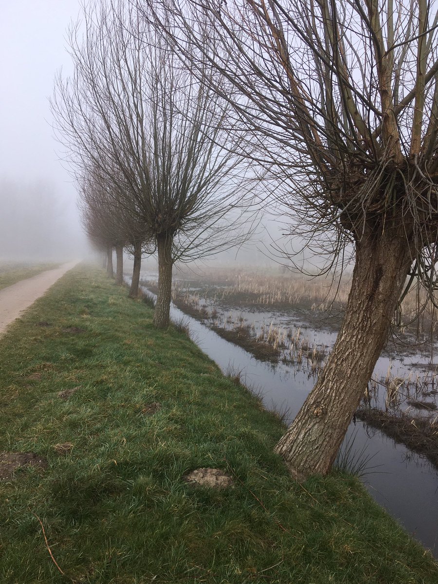 Milou van Rijn tweet media