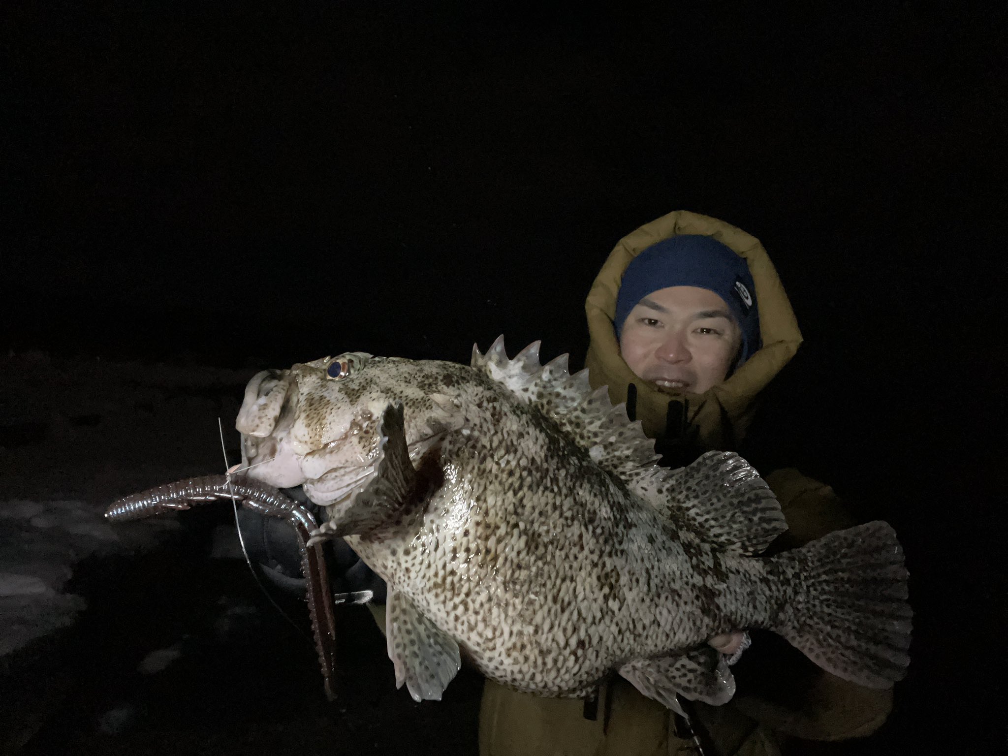三浦広行 昨晩の陸奥湾ナイトロック 重量感半端ないムラソイ捕獲成功 ドライブシュリンプ6 ネコリグ Osp ドライブシュリンプ6in ロックフィッシュ ムラソイ T Co Hytidzmxde Twitter