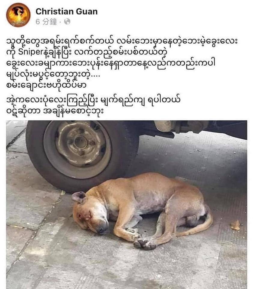 N_N_Z_W's tweet photo. From human violence to animal abuse. This poor dog was a subject of testing a sniper rifle fire. #WhatsHappeningInMyanmar #Feb28Coup #MilkTeaAlliance #MilkTeaAllianceMyanmar #AnimalAbuse https://t.co/LR3w6qnKDU
