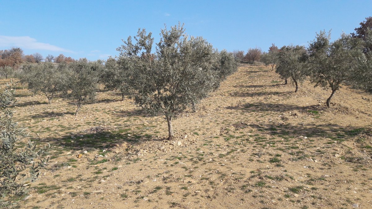 Bilal DURMUŞ (@bilal45454) on Twitter photo 