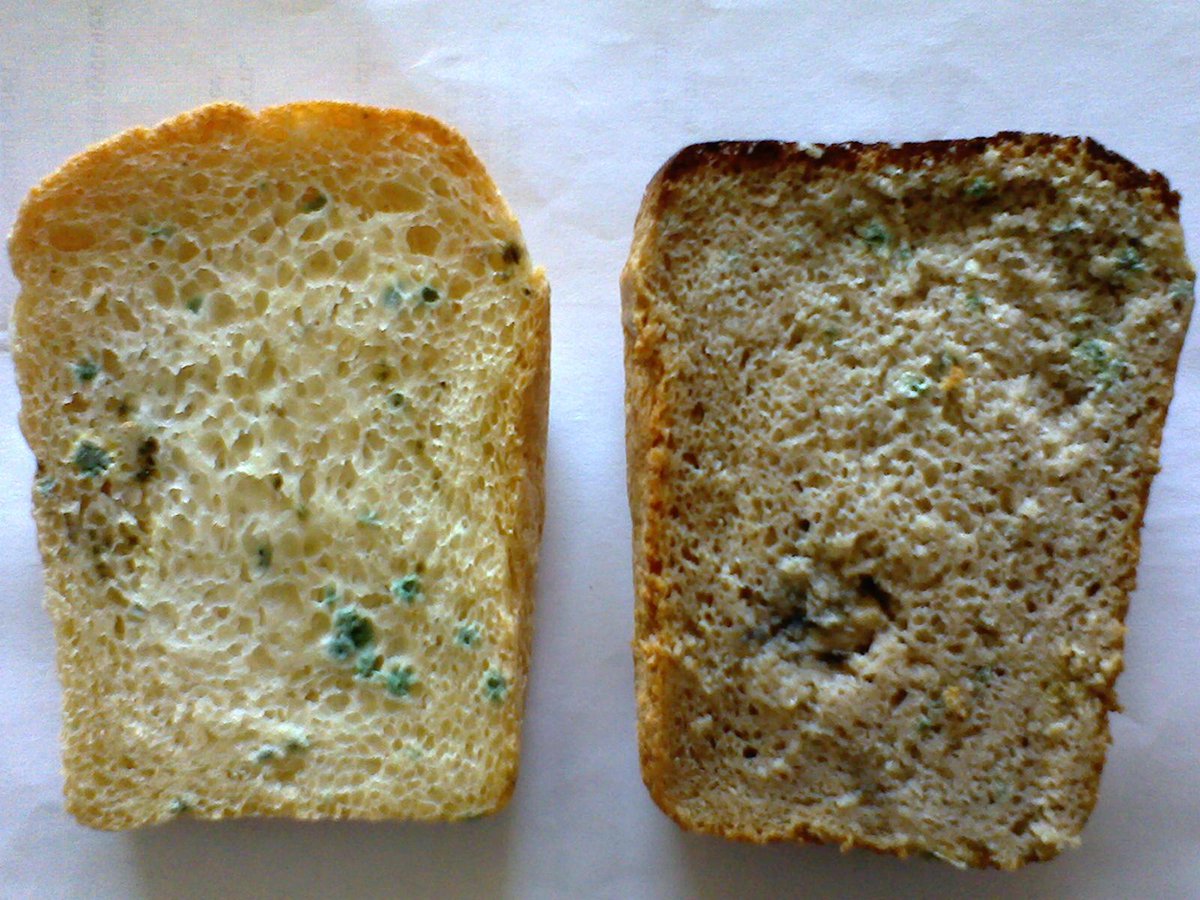 Ваня купил два батона хлеба полкило. Половина хлеба. Половинка хлеба. Пол кусочка хлеба. Половина хлеба фото.
