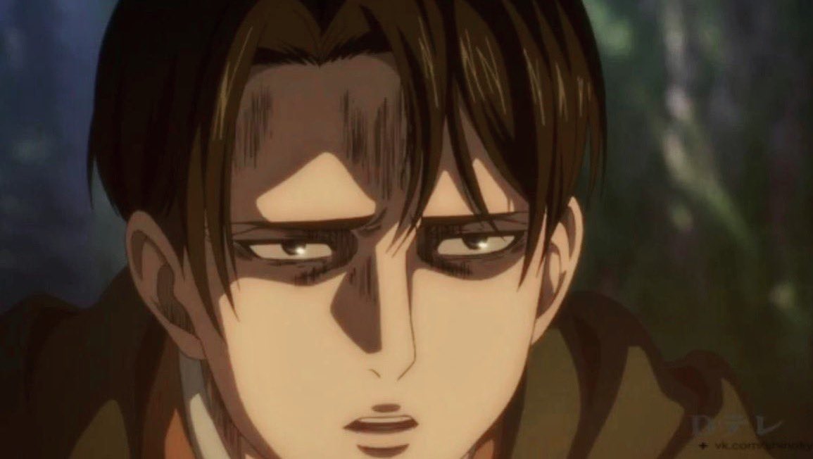 levi s 4
