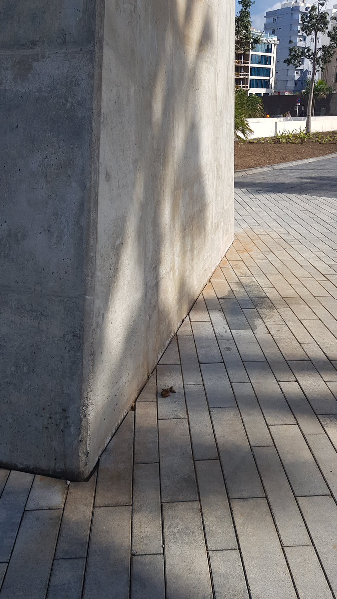 DefensaPaisaje's tweet photo. Los "peludos" ya empezaron a dejar sus caquitas y meaditos en la Pasarela #aNingunaParte. ¿4 millones € para esto?

¿Cuando empiezan a multar a los dueños de los peludos, que los perritos no tienen culpa de nada...
@PoliciaLPA @HidalgoAlcalde? https://t.co/mKLLtnssc9