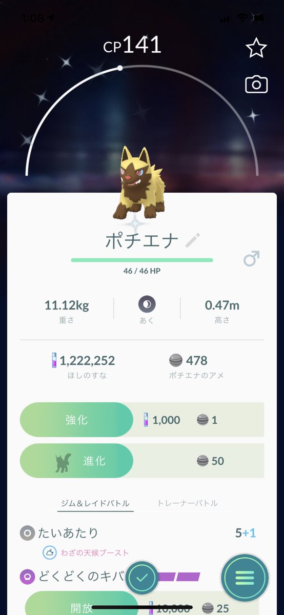 ポケモンgo ポチエナの色違い 入手方法と実装状況 攻略大百科 ポケモンgo ポチエナの色違い 入手方法と実装状況 攻略大百科