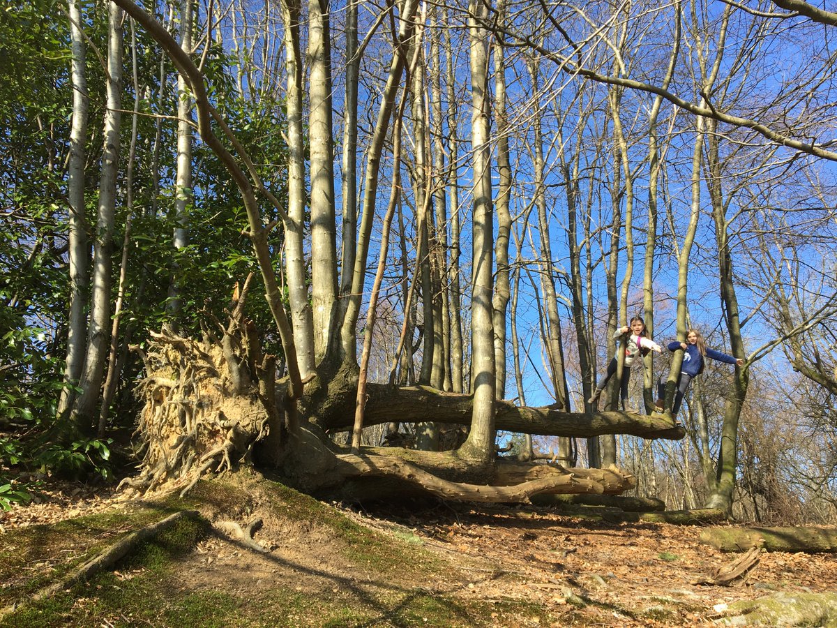 Anne Sassin tweet media