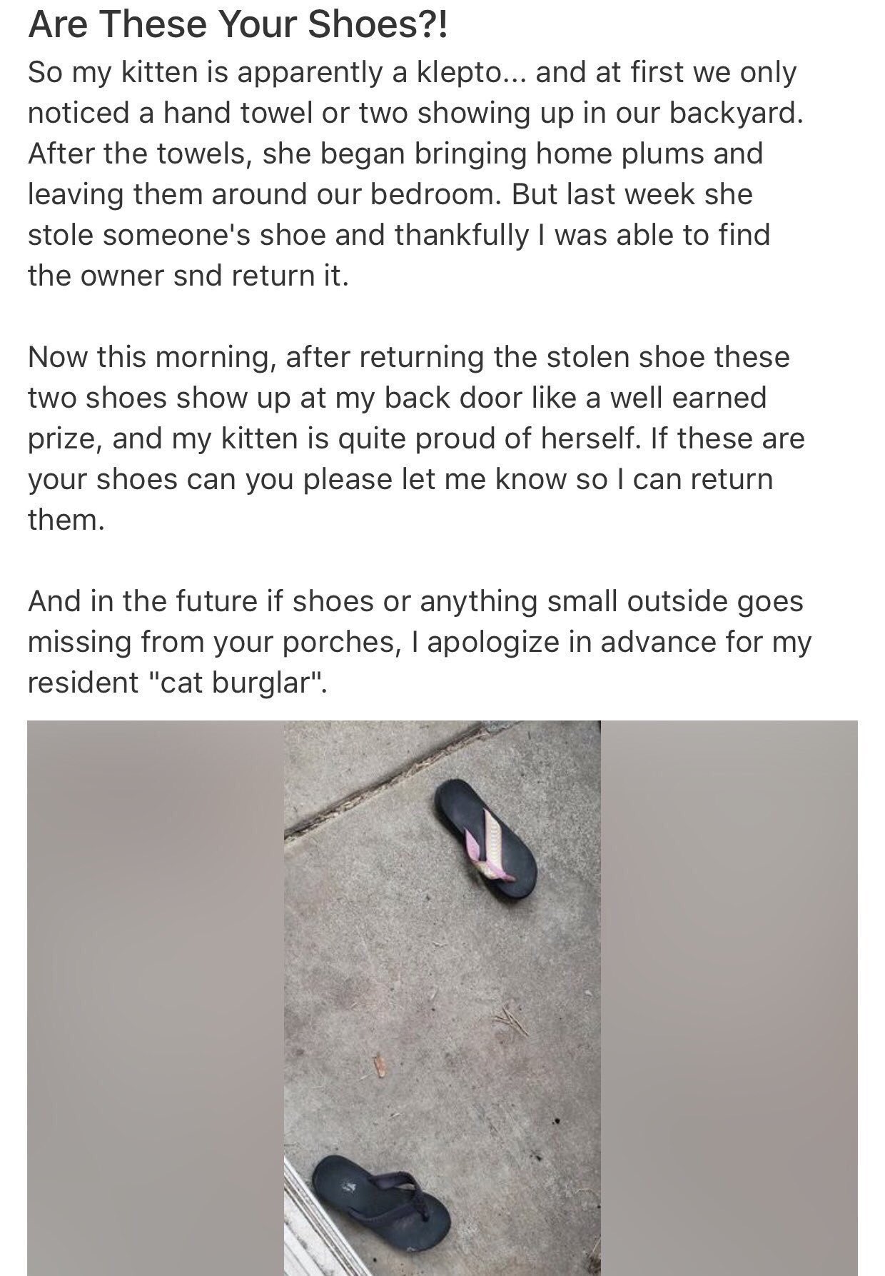 Shoe show deals on moreland