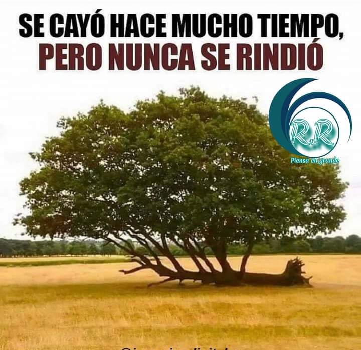 checosanchez3's tweet photo. @juanfractal22 https://t.co/4b7OoWj8xw