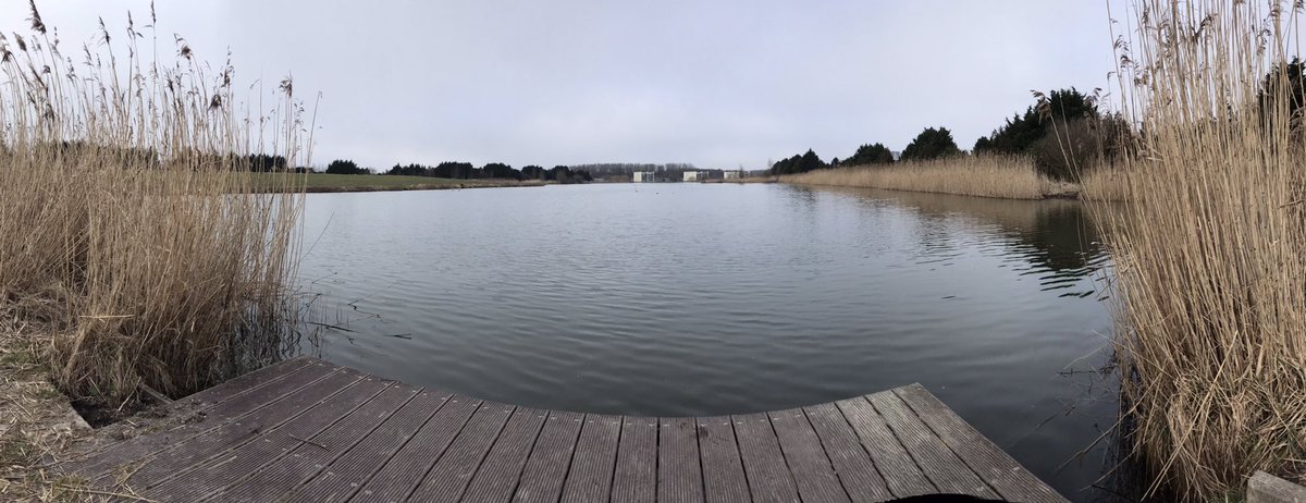 guidohummel's tweet photo. Nieuwe week, nieuwe wandelroute: direct gelegen aan Vinkhuizen en De Held. Westpark! Een ruwe diamant!
#groen #park #Groningen #westpark #outdoorlife #natuur #wandelen #StaySafe #tuinindestad #tinyhouses @gem_groningen #vinkhuizen #deheld https://t.co/h2szBoFSgV