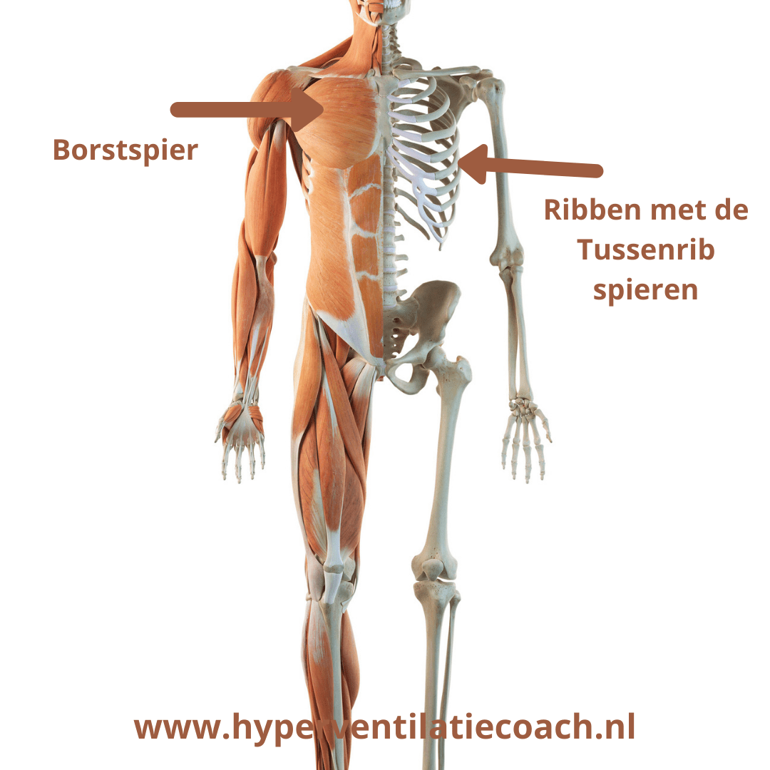 🚮♓️@ns Ro@ch 💚 alias Hans Voorn... tweet media