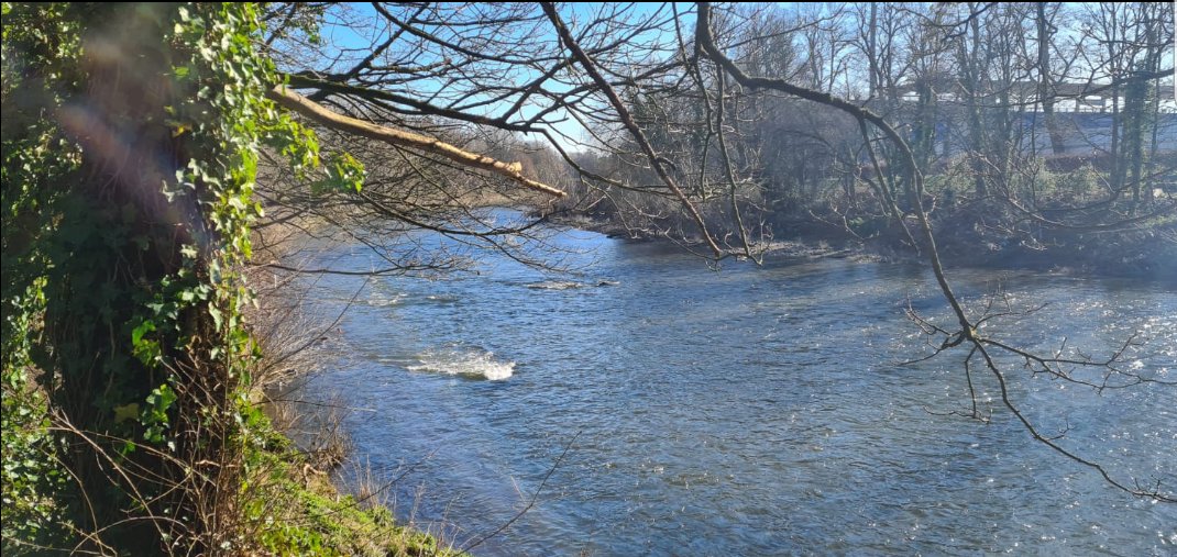 It's a beautiful day for a walk year 7. Fresh air and excerise increases feelings of positive wellbeing. <a href="/WyedeanSchool/">Wyedean School & Sixth form centre</a> #wellbeingwednesday #MentalHealthMatters #mindfulness #optimistic #happiness #nature