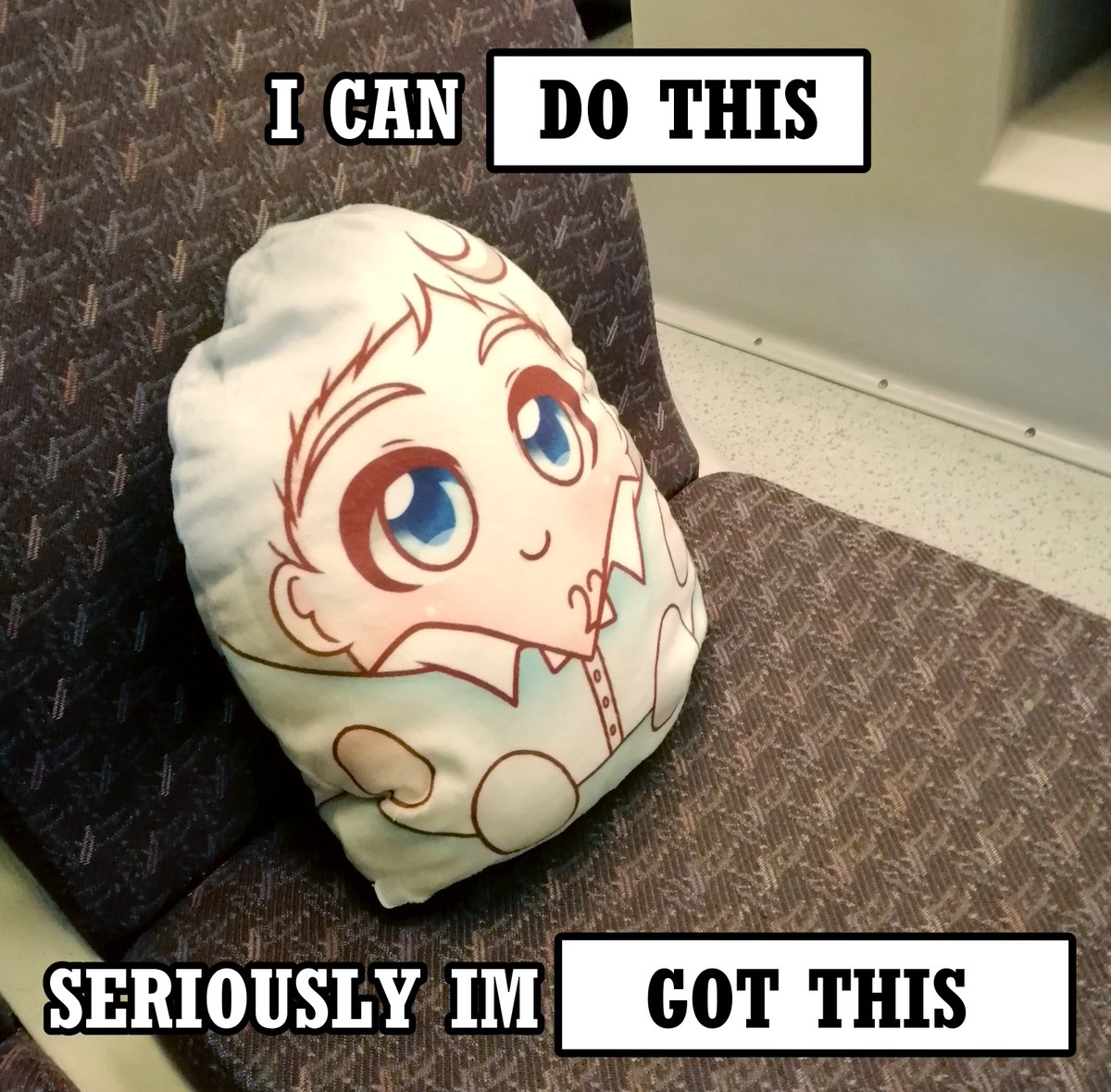 i did the meme with my norman plushie