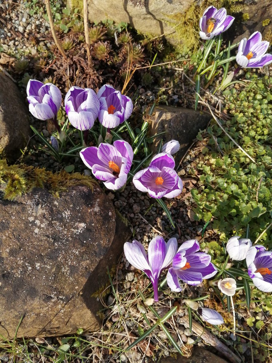 Beautiful sunny Sunday