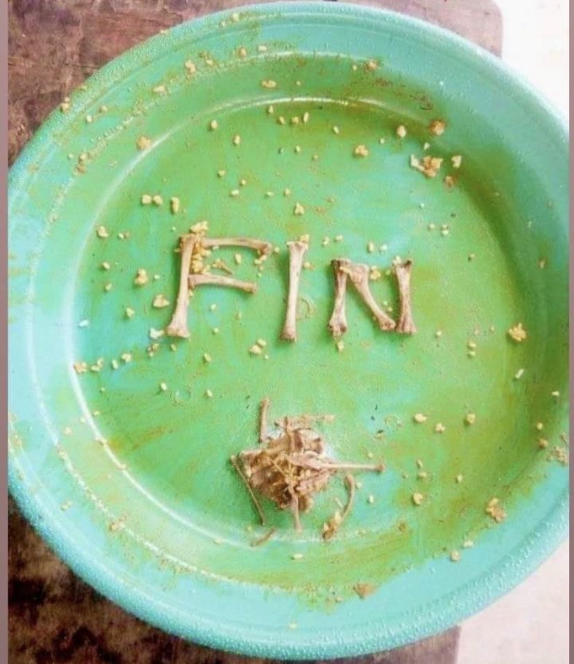 Allô224 tweet media