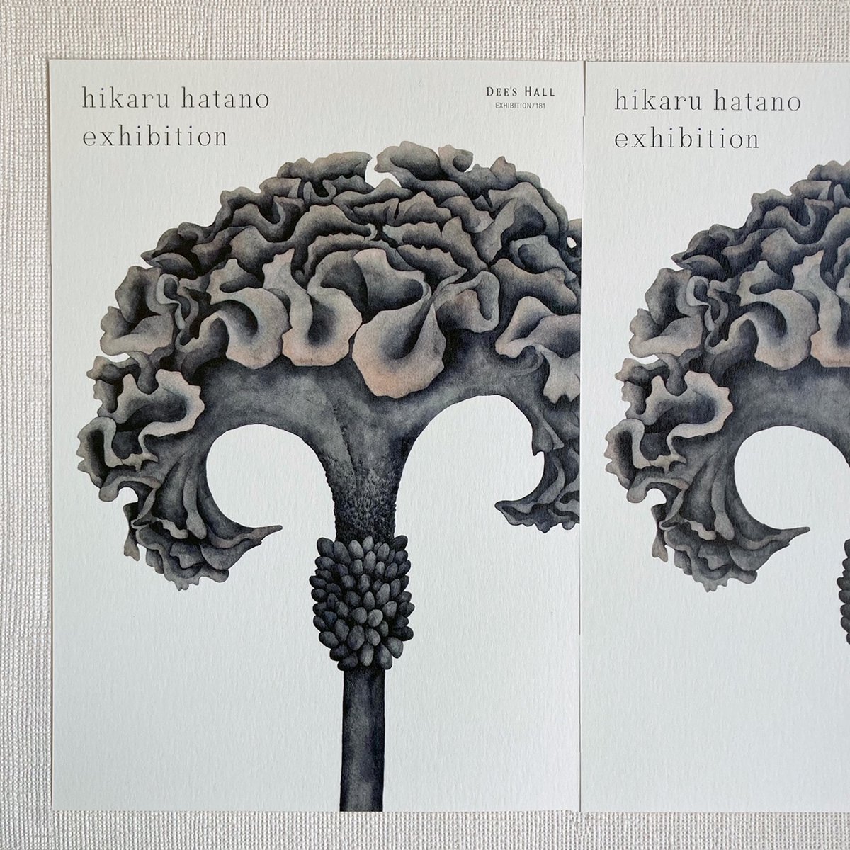 hatano_hikaru (@hatapika) / Posts / X