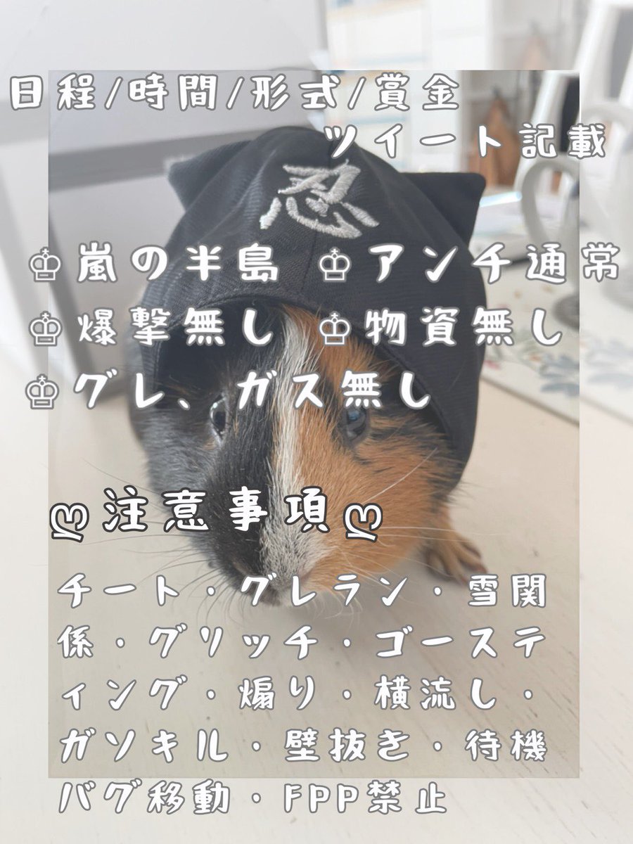 nnnnm_mpmpjgwgd's tweet photo. 👾ぴんてるしか勝たん杯👾

日程￤2月28日
 
時間￤22:30~

形式￤#デュオ
 
賞金￤500P×人数💰

確定枠取ります
拡散優先

パスツイjust
2分後スタート

👾参加条件
follow、RT、引用元いいねRT(条件全員)

確定枠は代表者名、コピペ用 

23時30までにDMにてリザルト提出

#デュオゲリラ https://t.co/Bhh54bxJNo
