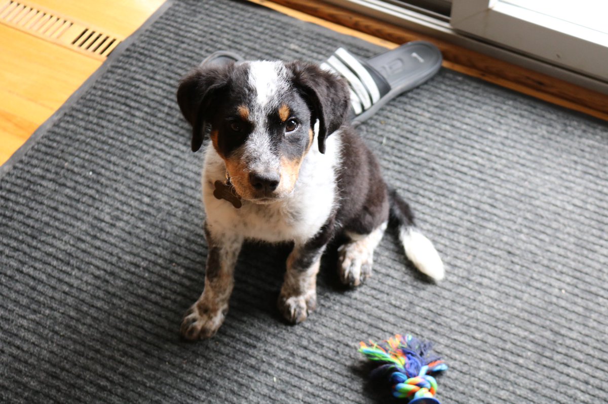 Biscuit 🐰🐿💕☀️☀️ tweet media