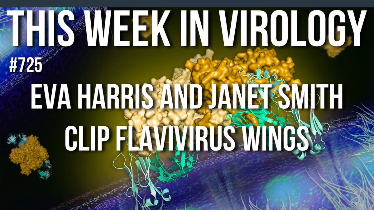 MicrobeTV tweet media