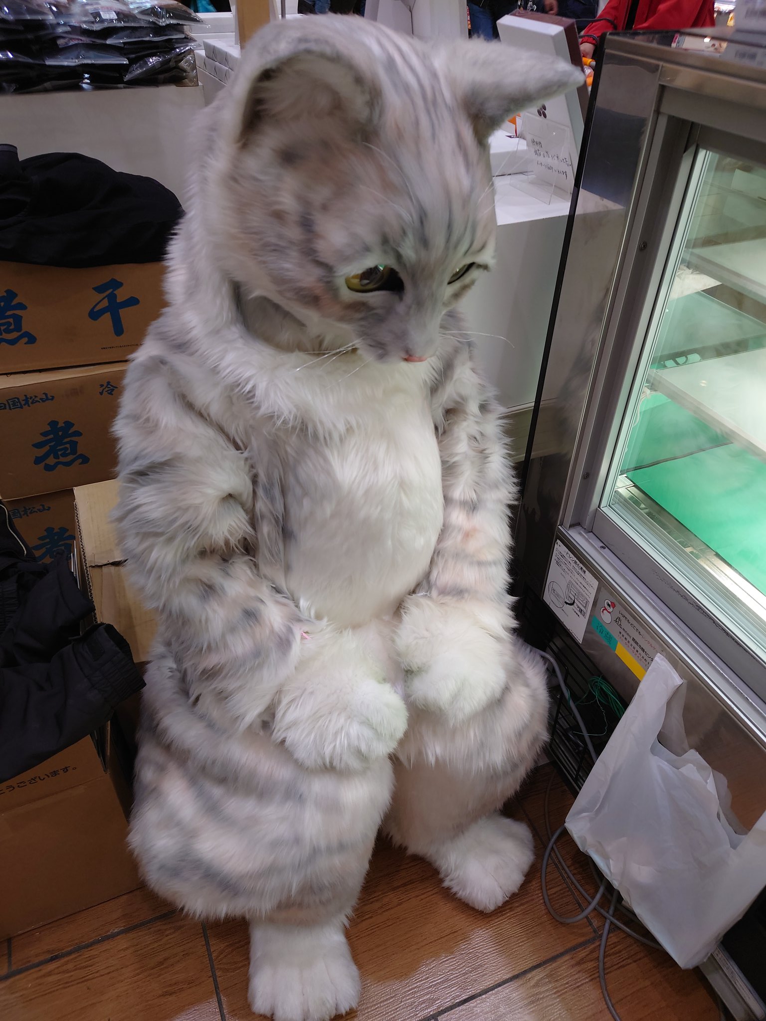 プリン専門店♪坂の上の猫♪ 源田 晃一 【公式】 on X: