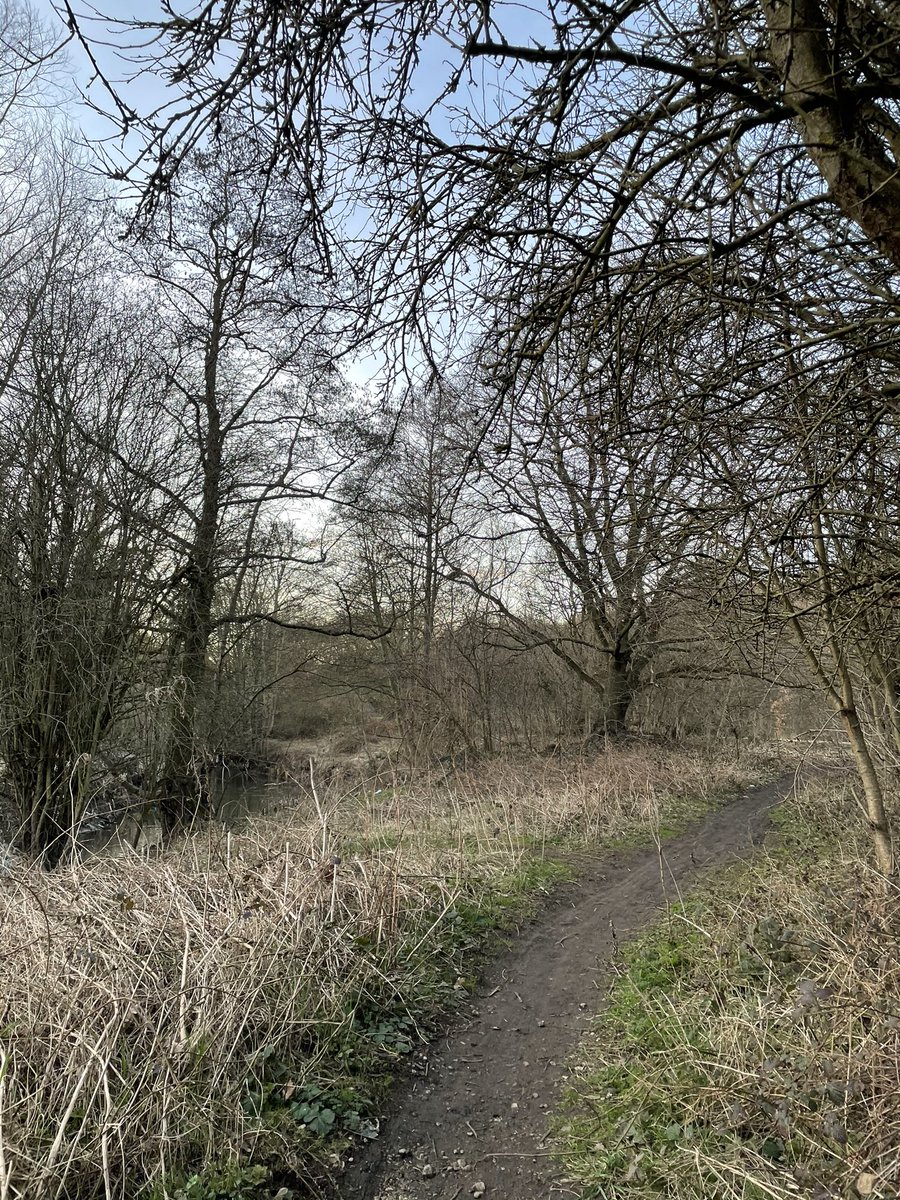 1VKKV1's tweet photo. Almost finished @LullabyTrust #Feb50 50km in Feb challenge! Only today to go. Me and Beau have walked 120km (almost 75 miles)! Thank you to everyone who has donated so far. π #thelullabytrust #SIDS #safersleep https://t.co/JLah8kpq5Z