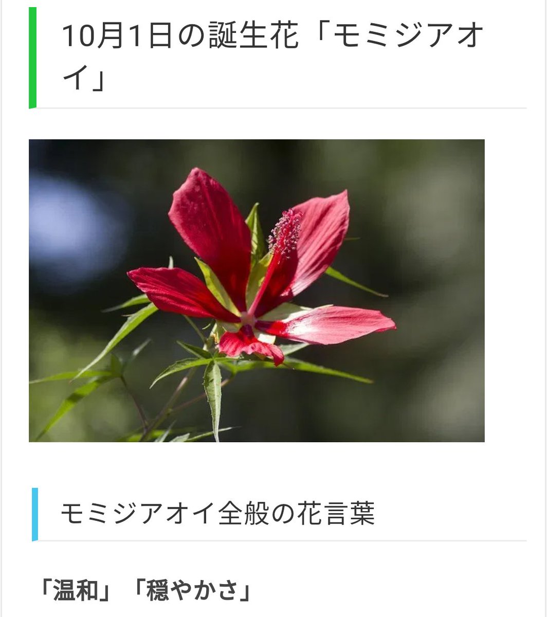 コンプリート 10 月 8 日 誕生 花 壁紙のための無料ダウンロード コンプリート 10 月 8 日 誕生 花 壁紙のための無料ダウンロード