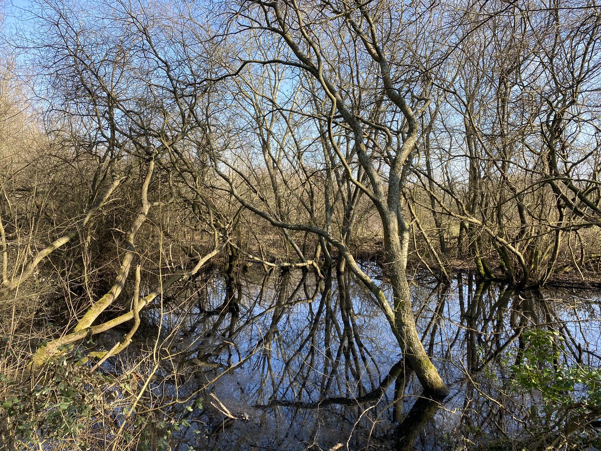 debicoote's tweet photo. Plenty of rocks ticked off in just one outing - Sussex is just so beautiful in the sunshine #LoveWhereYouLive #DitchlingCommon #wellbeing @BonJovi @ActionPotential https://t.co/nWzvouWkX9