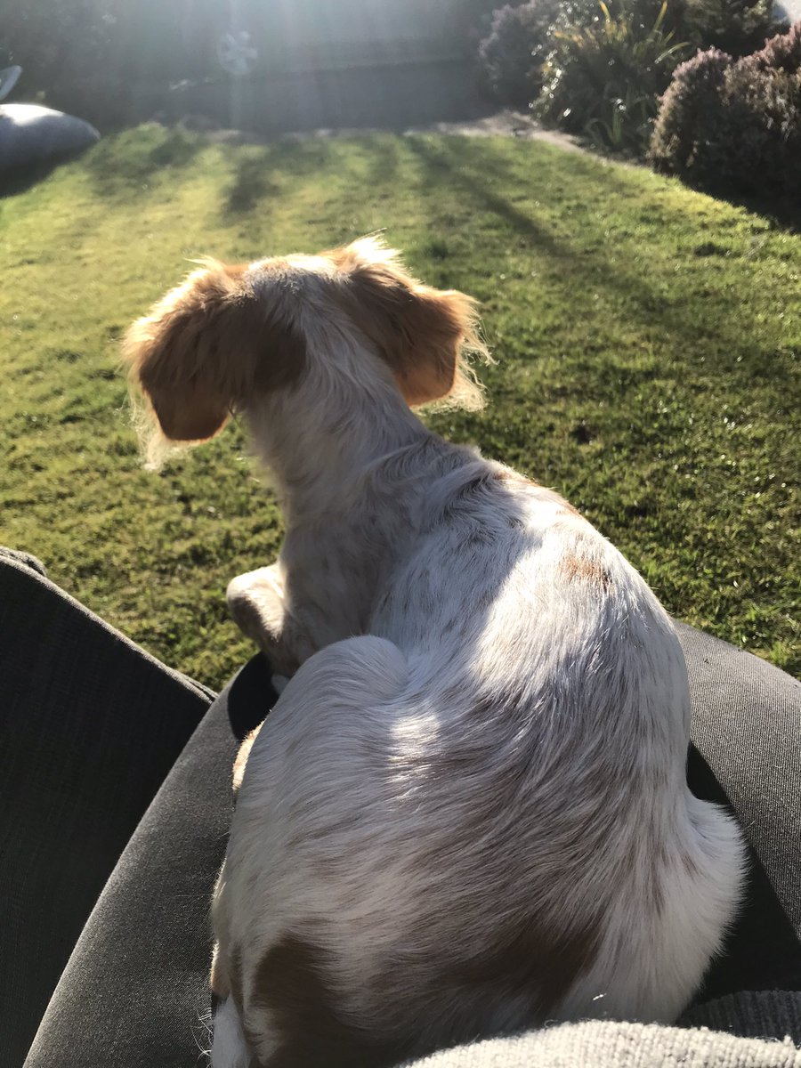 Marie Friend tweet media