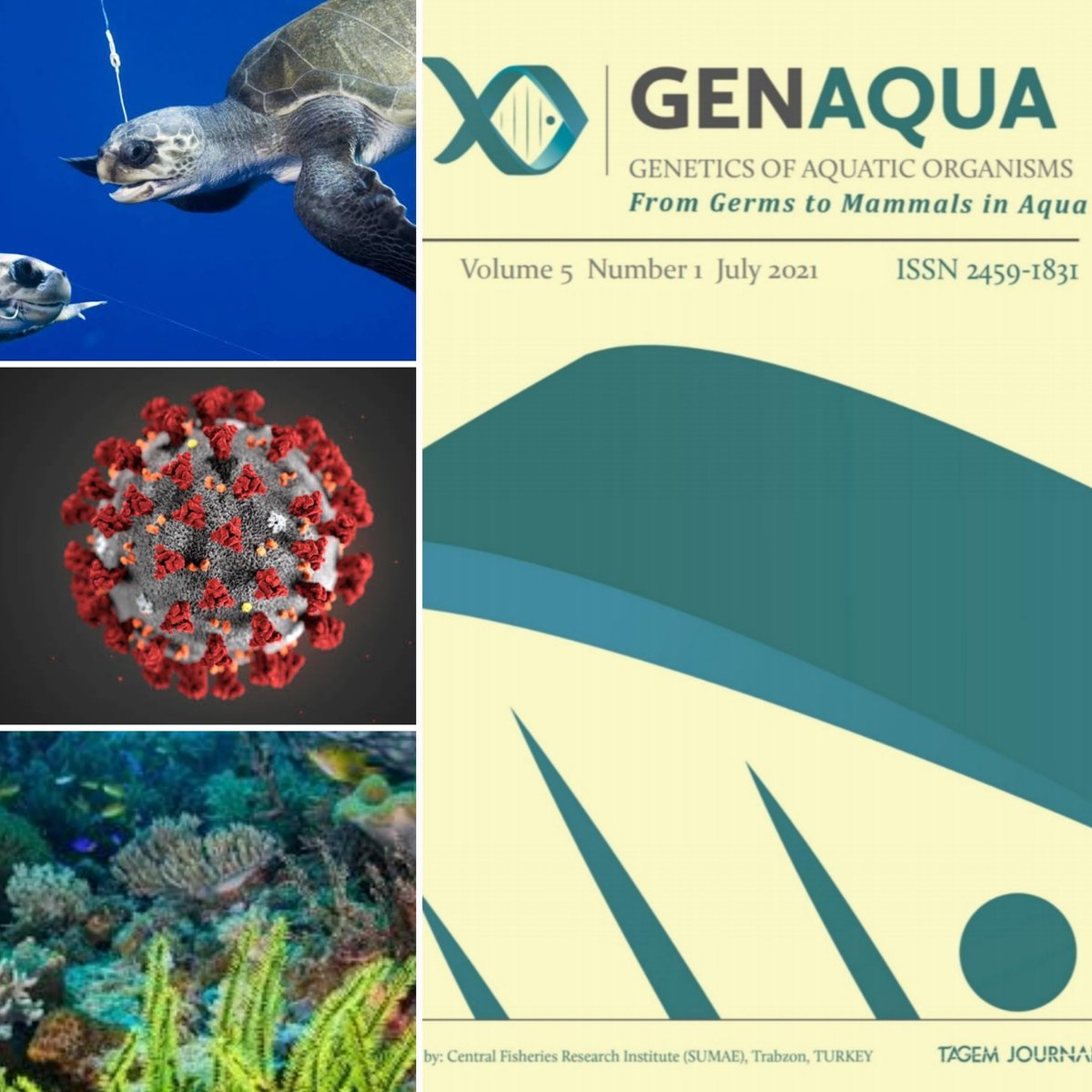 Genetics of Aquatic Organisms tweet media