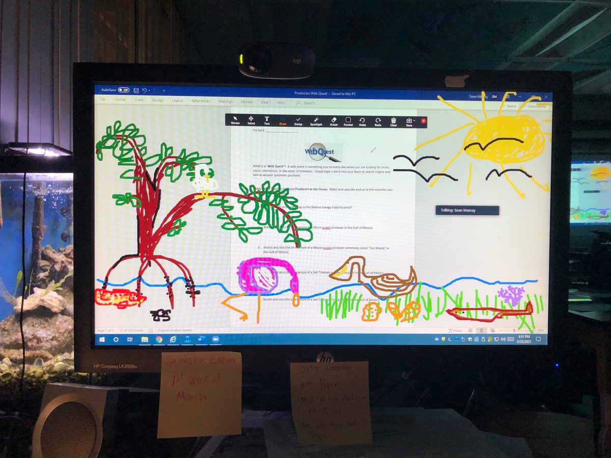 Using Annotations on Zoom to brighten the day for my Elearners!