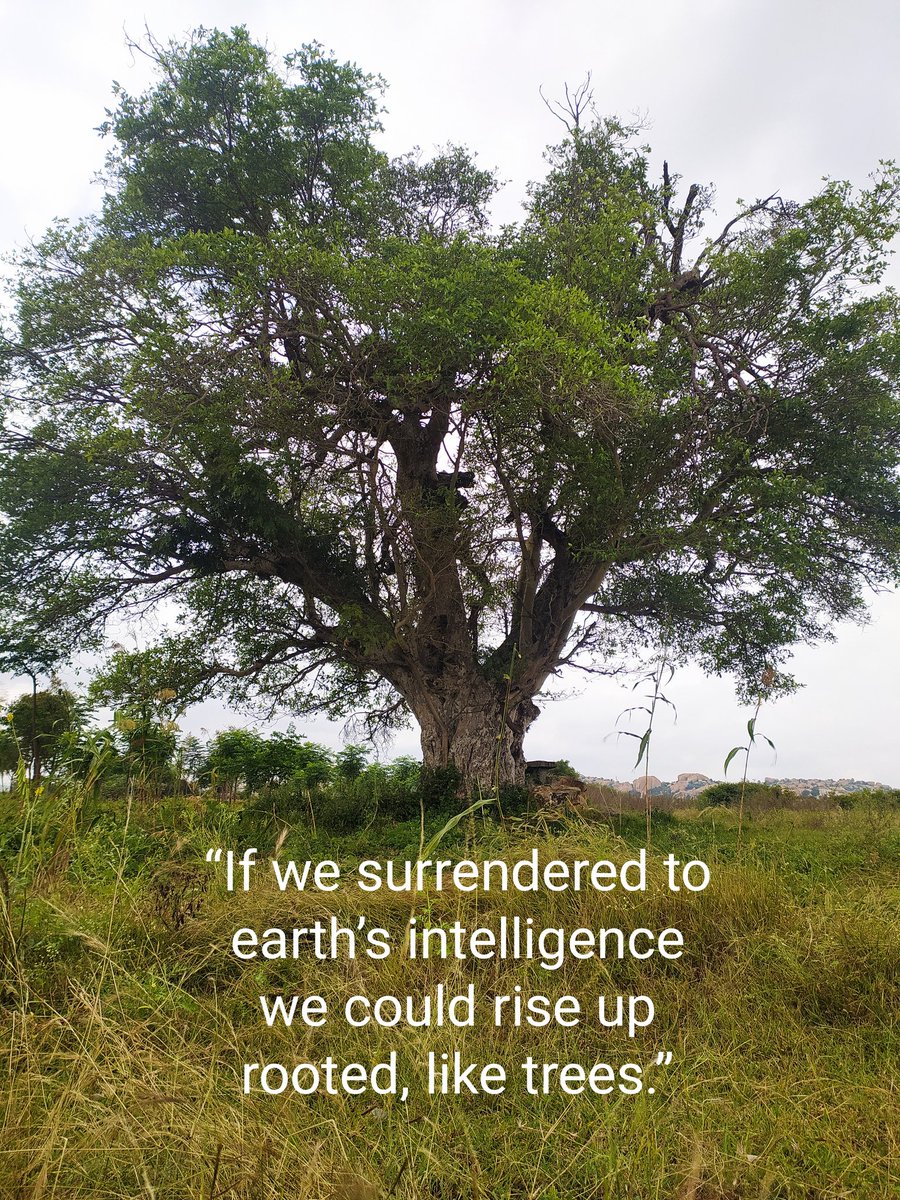 #FoodForThought #quoteoftheday