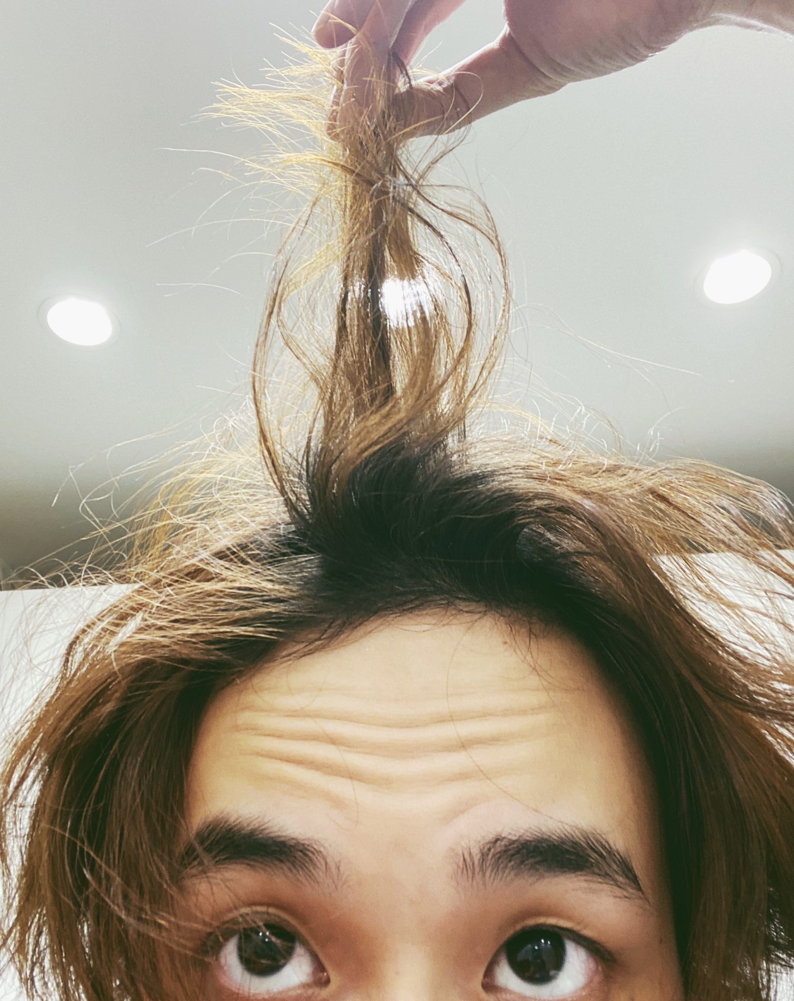小関裕太 on X: 