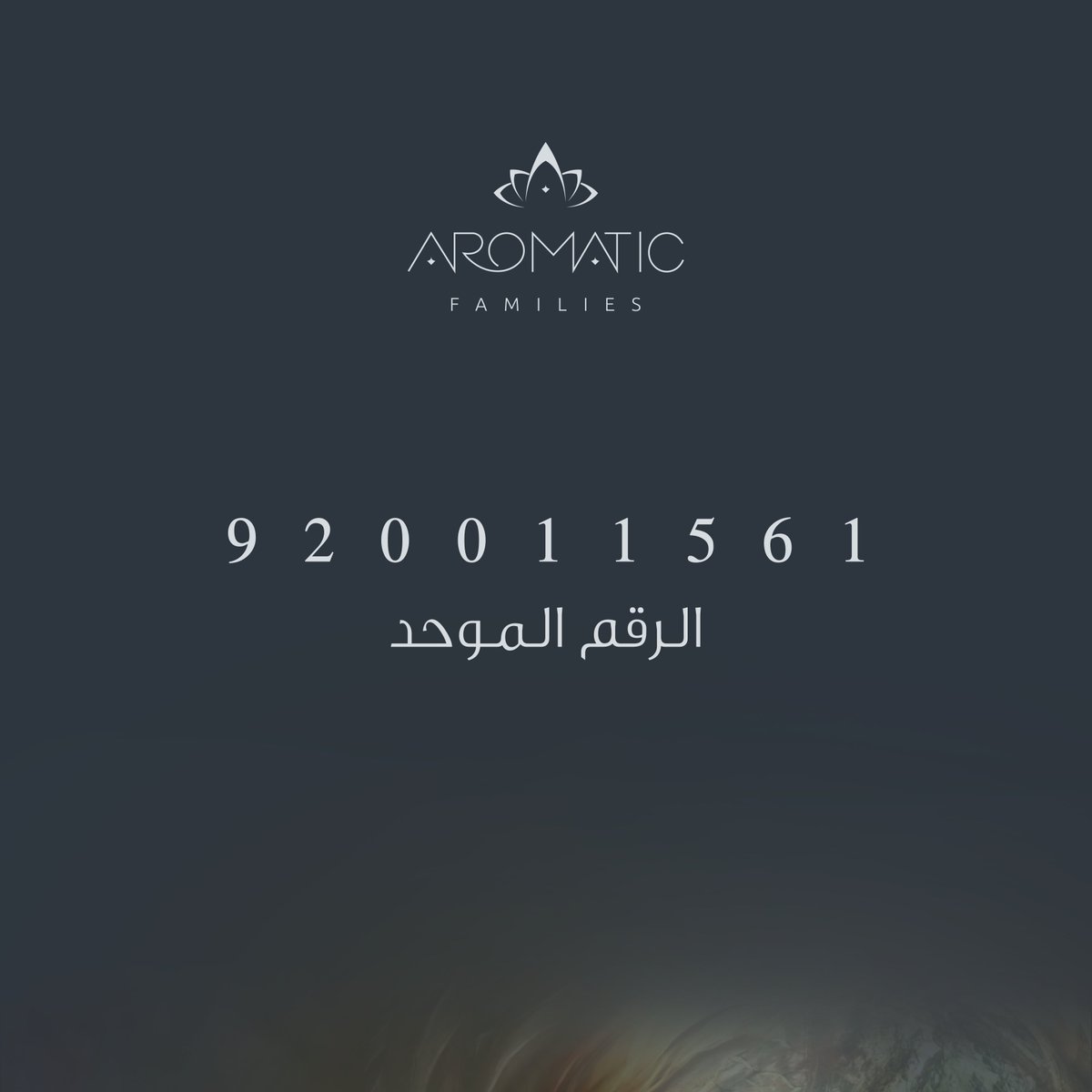 اروماتك tweet media