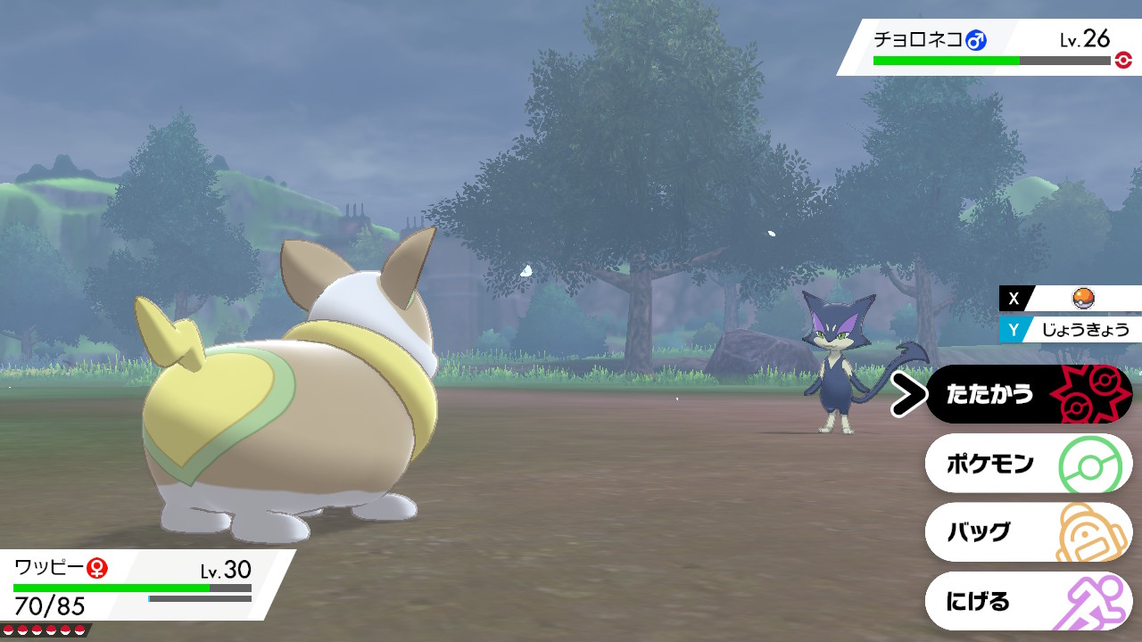 そぼろ 剣盾の思い出 ポケモン剣盾 Nintendoswitch 偶然出会った色チョロネコ 投稿できてなかった T Co 5eamzvc0sj Twitter