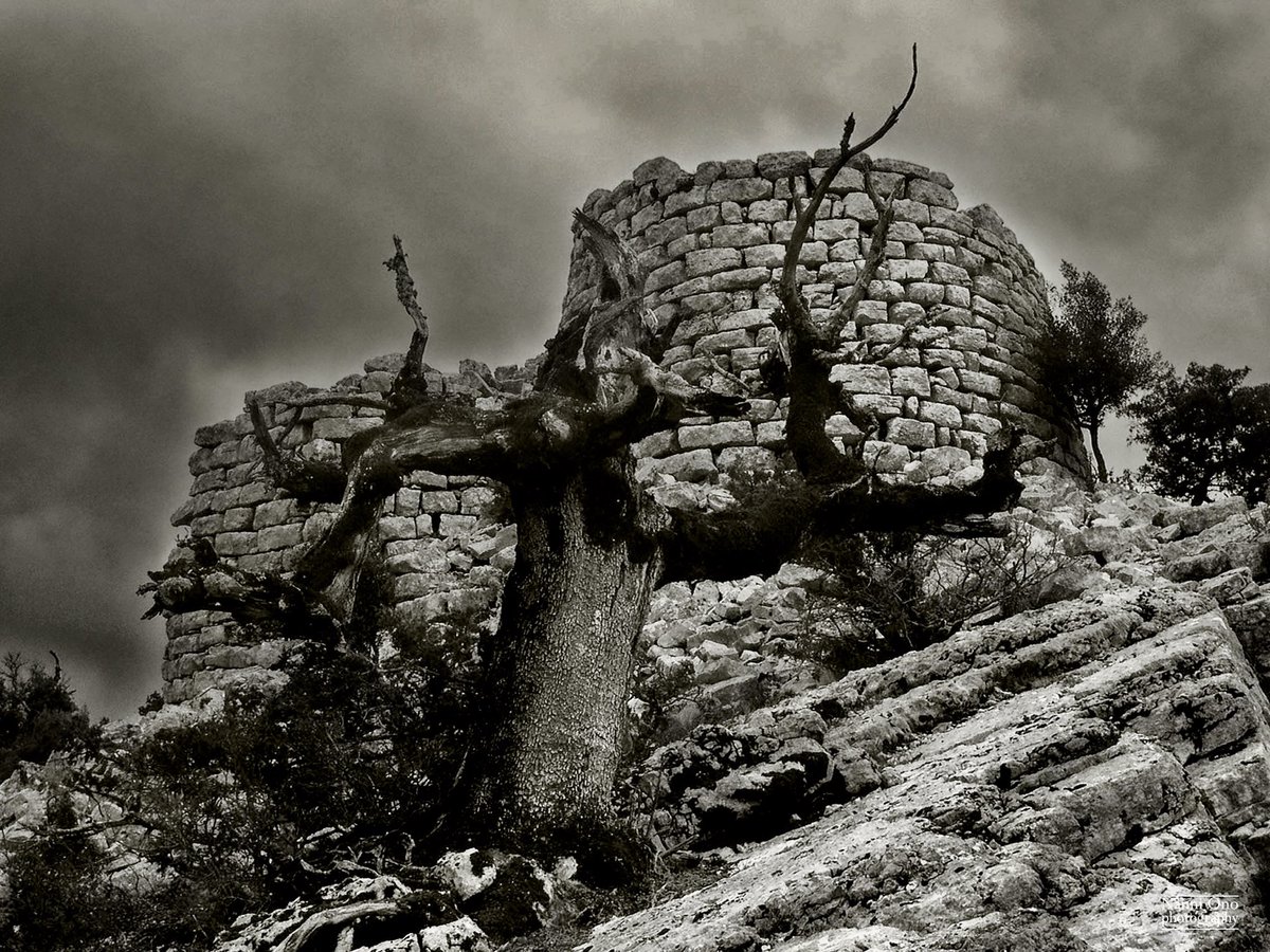 OnoNanni's tweet photo. Nuraghe Mereu. #sardinia #nuraghe #tholos #archeo #gorropu #archeology #photography #photographer #orgosolo #oliena #sardegna #trekking #amazingplaces #travel #beautifuldestinations https://t.co/hqKXQOk91G
