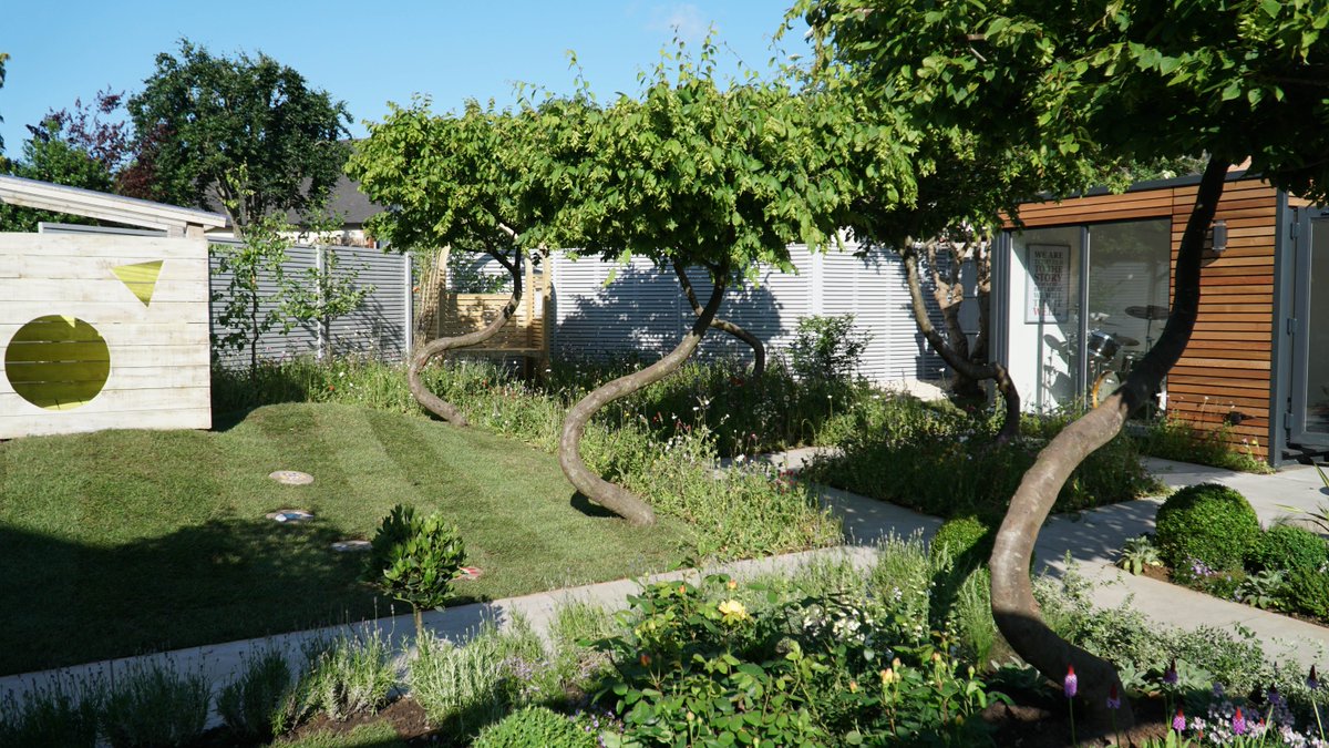 David Domoney tweet media