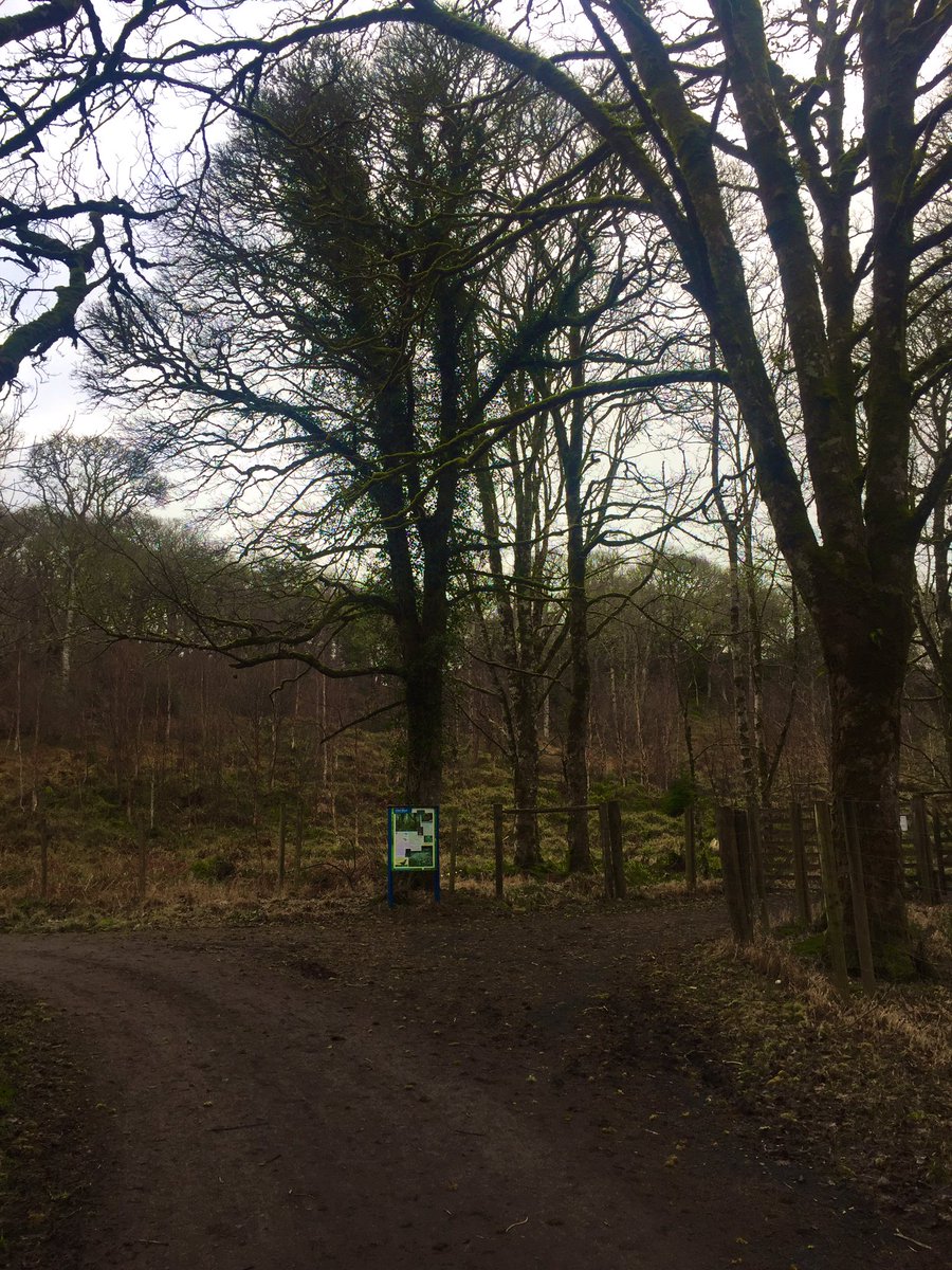 jackiemcguin's tweet photo. Day 59/ 790 of #100daysofwalking #800daysofwalking An eventful morning walk in #UnionWood with @CCazza and Cookie ๐ #friendship last day of #GetMercyMoving ๐ค https://t.co/yyz42HKplW