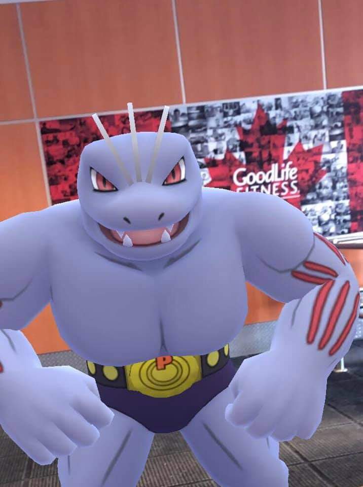 Rizutsuki's tweet photo. "Don't worry, we'll have you Wigglybuff in no time. Our services are Serperior than everywhere else"
#pokemon #PokemonGo #Machoke #Goodlife #humour #puns #PokemonPuns #pokepuns #Goodlifefitness #GOsnapshot https://t.co/JgvR4sQ2wL