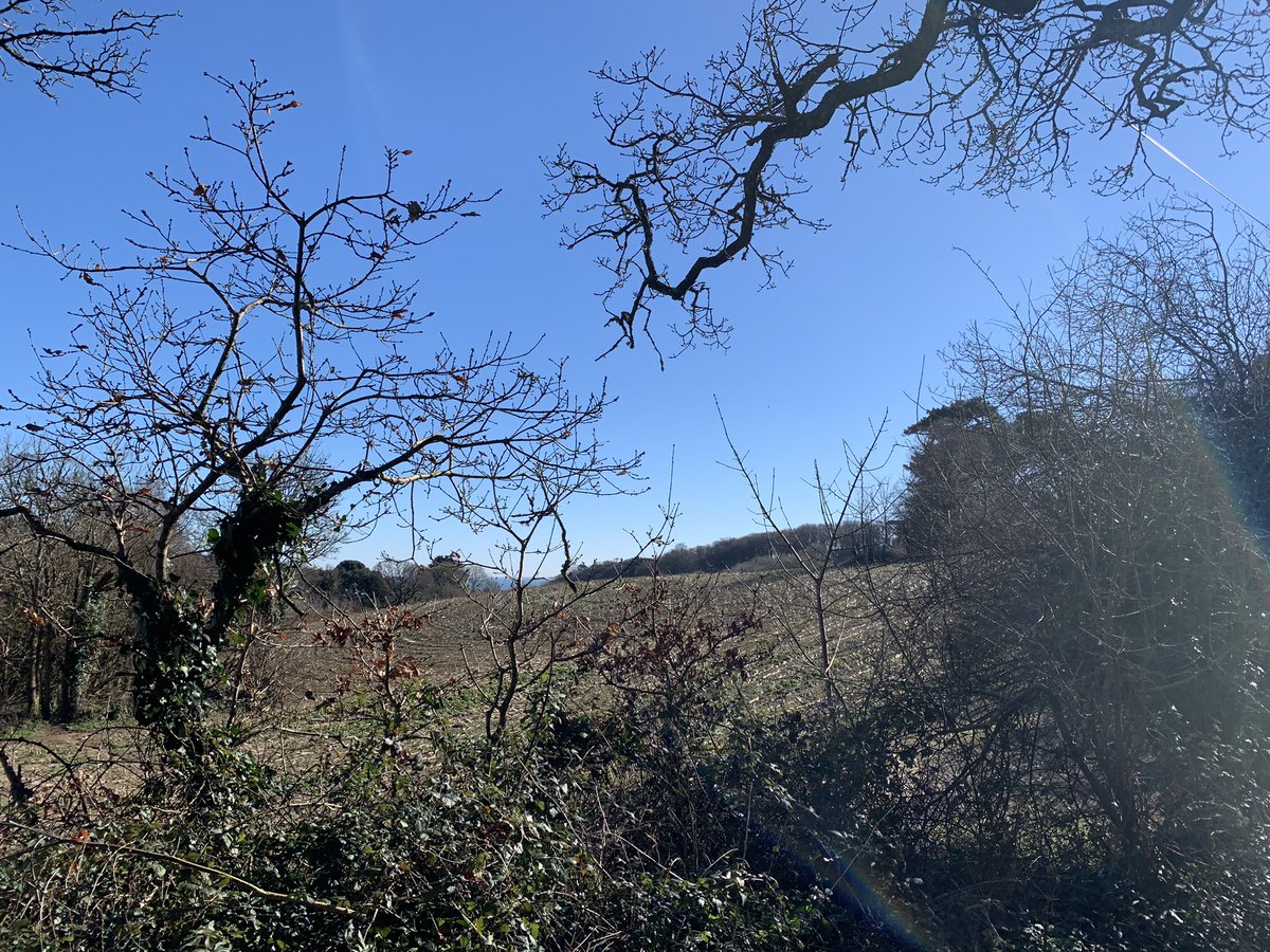 sazzl80's tweet photo. 2 years back in the UK, end of lockdown looming, lots to think about this week about what’s next and then the Cornish spring shows itself and all is good #cornishlife #fowey https://t.co/j1UP8gL27I
