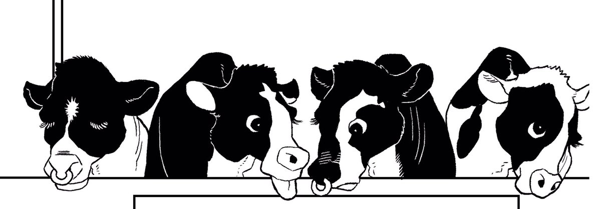 牛🐮チャンたち 