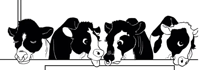 牛🐮チャンたち 