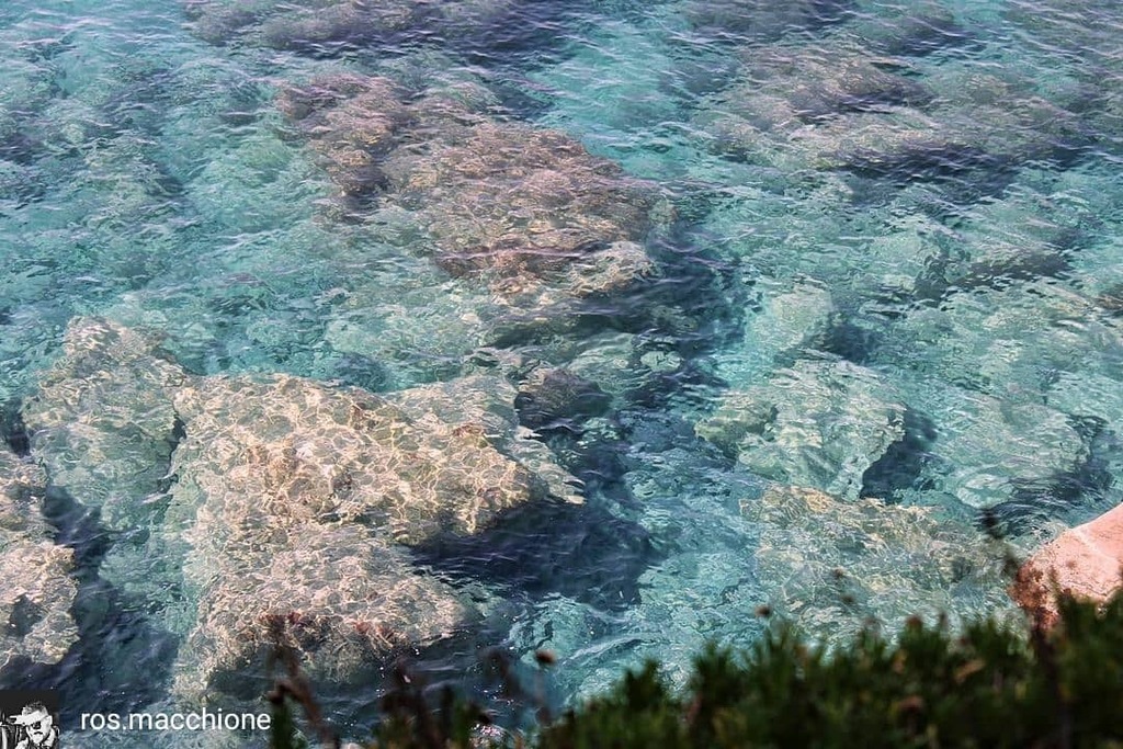 CalabriaTweet's tweet image. Il richiamo della bella stagione. Grazie a @ros.macchione per questo scatto da Falerna (CZ)! #falerna #catanzaro #calabriatweet #mare #sea #visit #visititaly #discover #water #acqua #mediterrean #mediterraneo #calabria #kalabria #kalabrien #italy #italia… instagr.am/p/CL1rTc5DrxP/