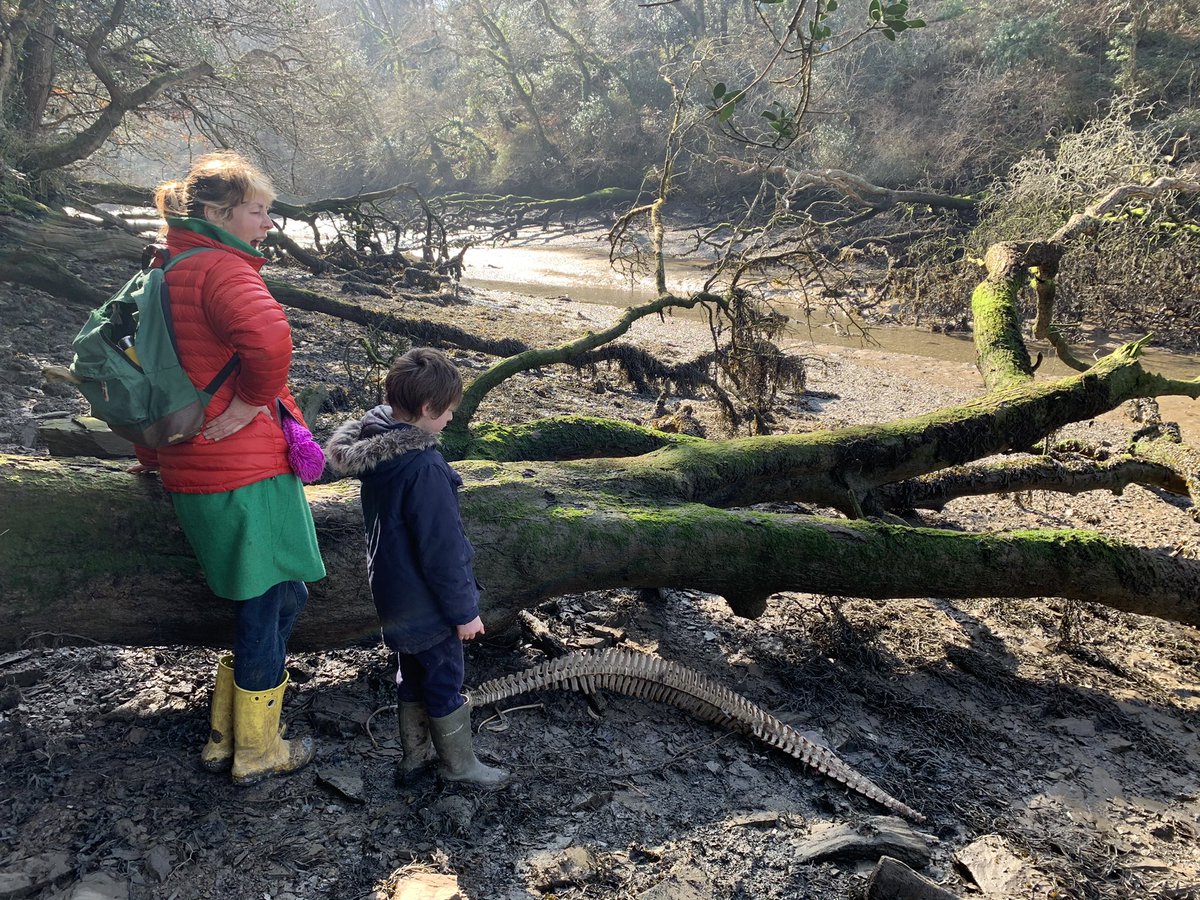 Greg Martin tweet media